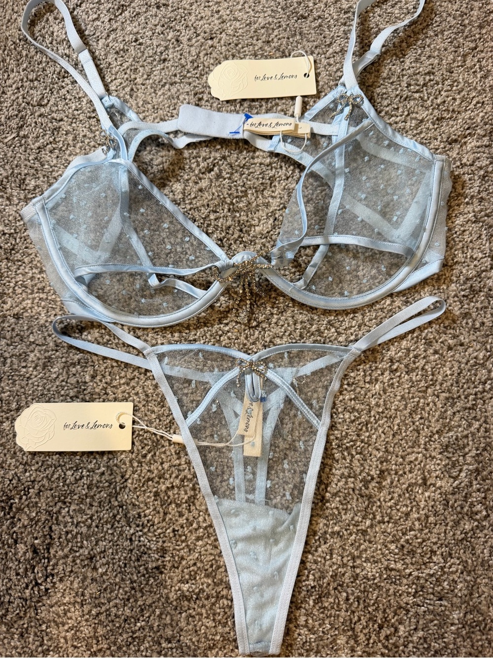 For Love And Lemons Pale Blue Sheer Lace Bra & Thong Set with Crystal Accent